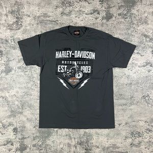 Vintage Y2K Dark Gray Harley Davidson T-shirt